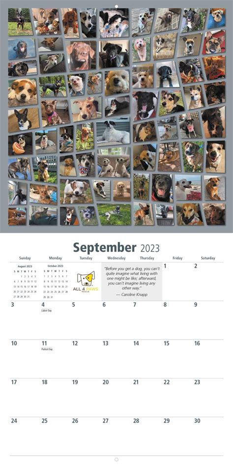 master paw calendar 2023